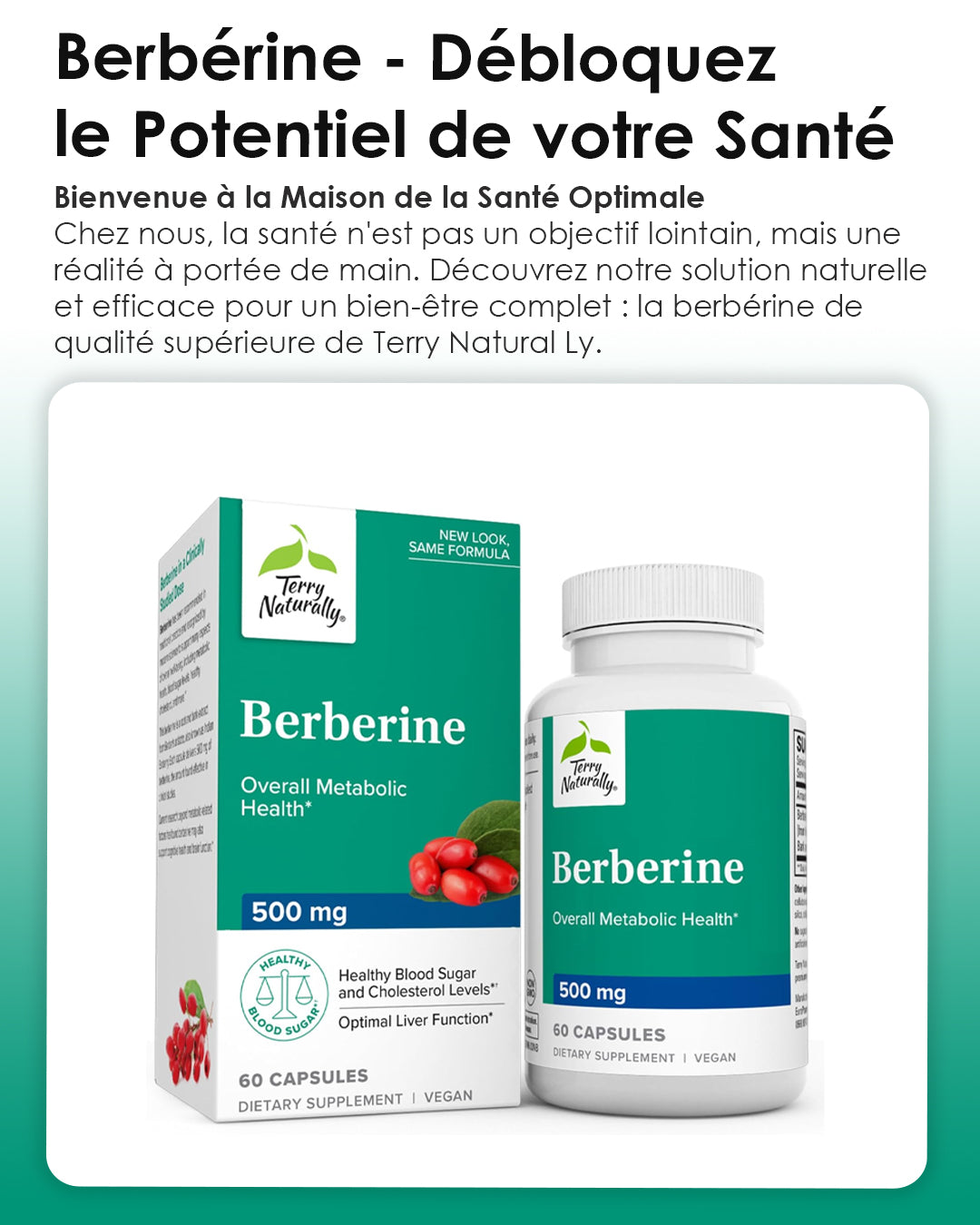 Berbérine